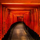 Die Tore des Fushimi Inari Schreins