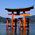 Die Torii auf Miyajima