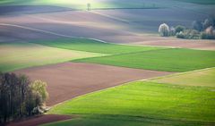 die Toscana liegt im Odenwald