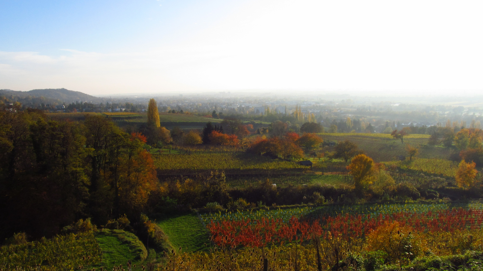 die Toskana an der Bergstraße