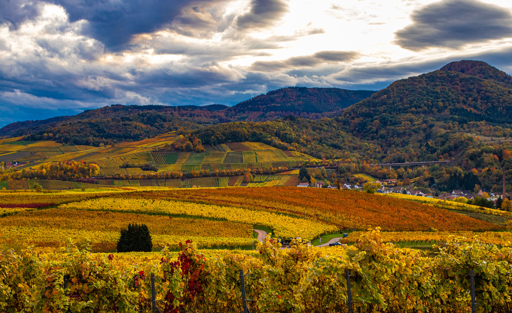 Die Toskana der Pfalz im Herbst