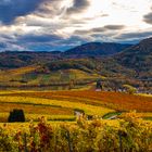 Die Toskana der Pfalz im Herbst