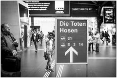 die toten hosen