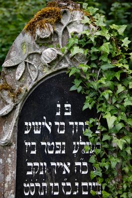 Die Toten nicht vergessen