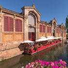 Die traditionelle Markthalle in Colmar