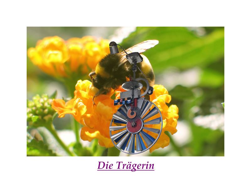 Die Trägerin