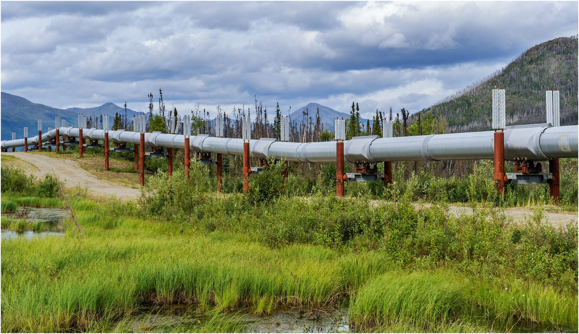 Die Trans Alaska Pipeline Foto & Bild north america, united states