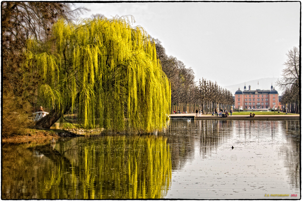 Die Trauerweide Foto &amp; Bild landschaft, garten
