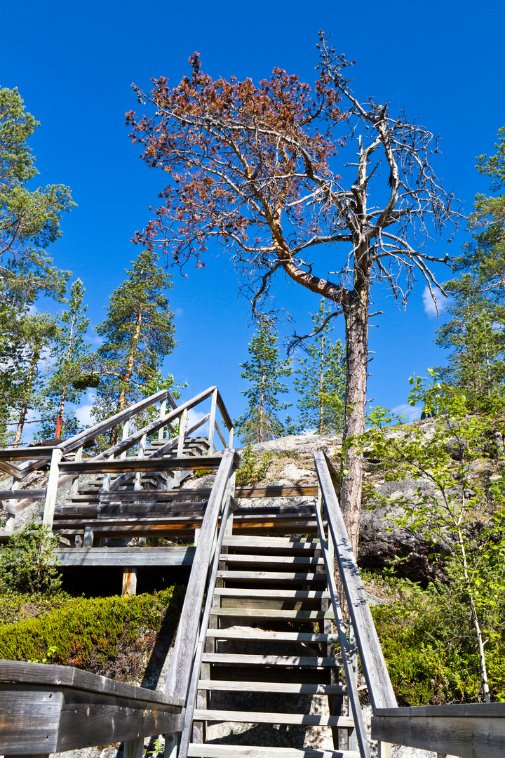 Die Treppe