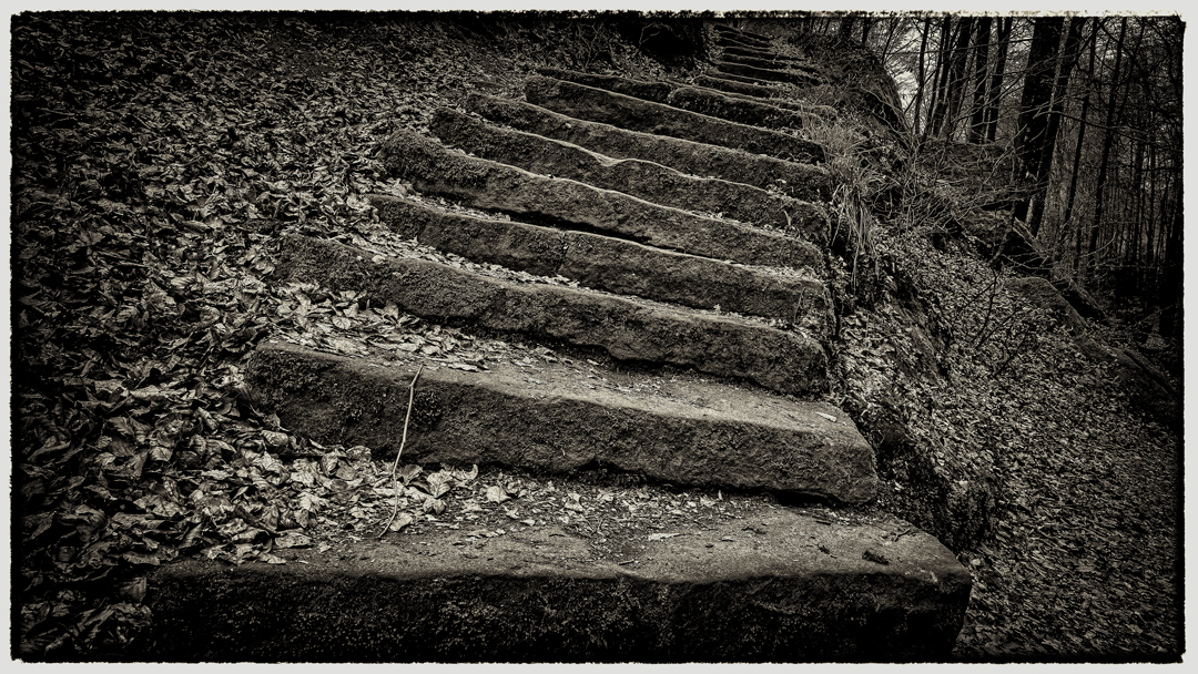 die Treppe 