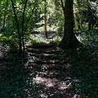 Die Treppe im Wald