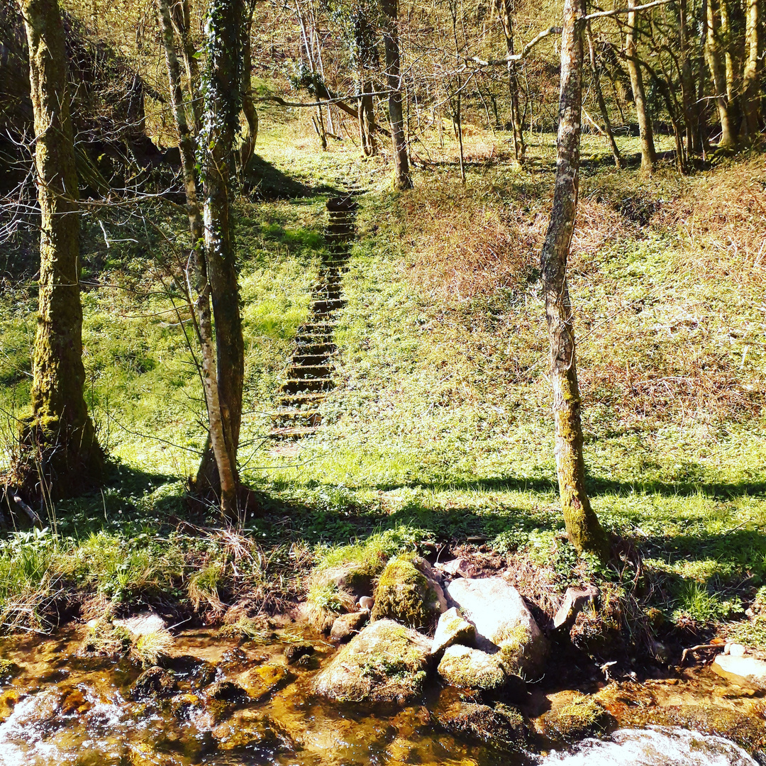 die Treppe ins Paradis