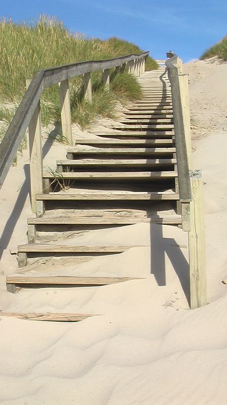 Die Treppe könnte auch mal gefegt werden!