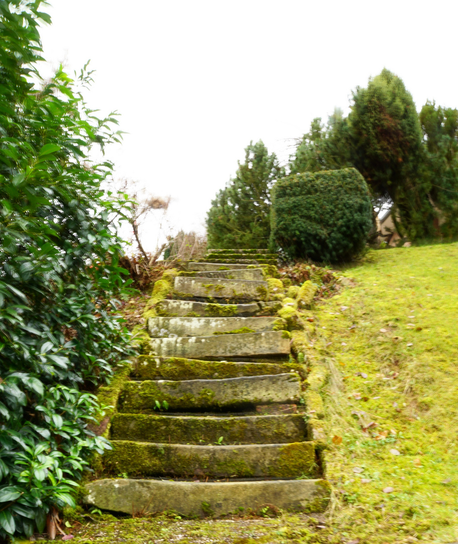 Die Treppe nach Oben 