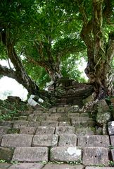 die treppe zu den höheren weihen, wat phou, laos 2010