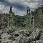 Die Treppe zum Himmel? - L'escalier vers le ciel?