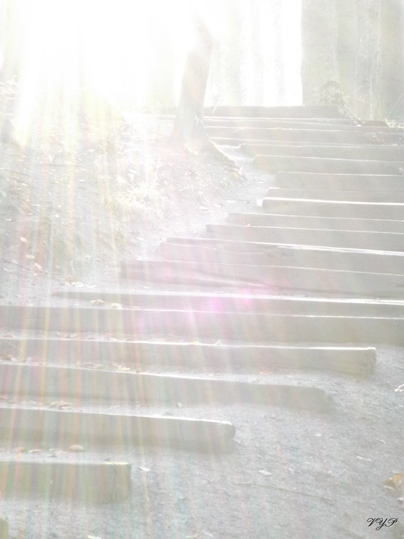 Die Treppe zum Licht