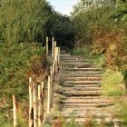 Die Treppe zum Strand...