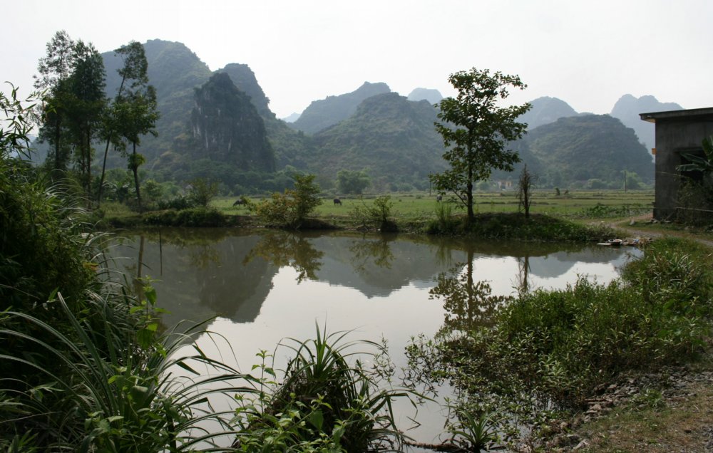 Die trockene Halong Bucht