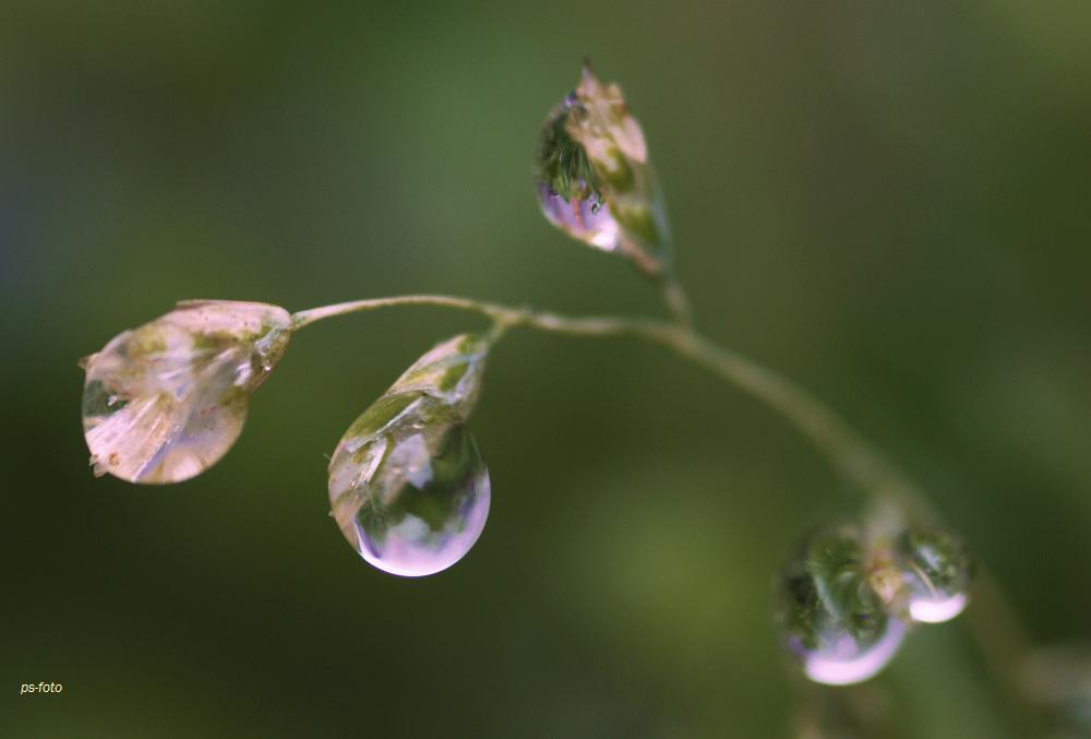 Die Tropfen regen!