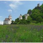 Die Trostburg/Waidbruck (Sütirol)