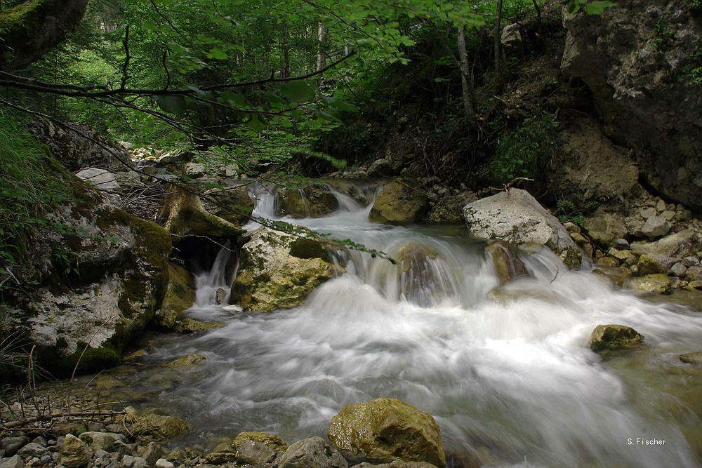 die tscheppaschlucht