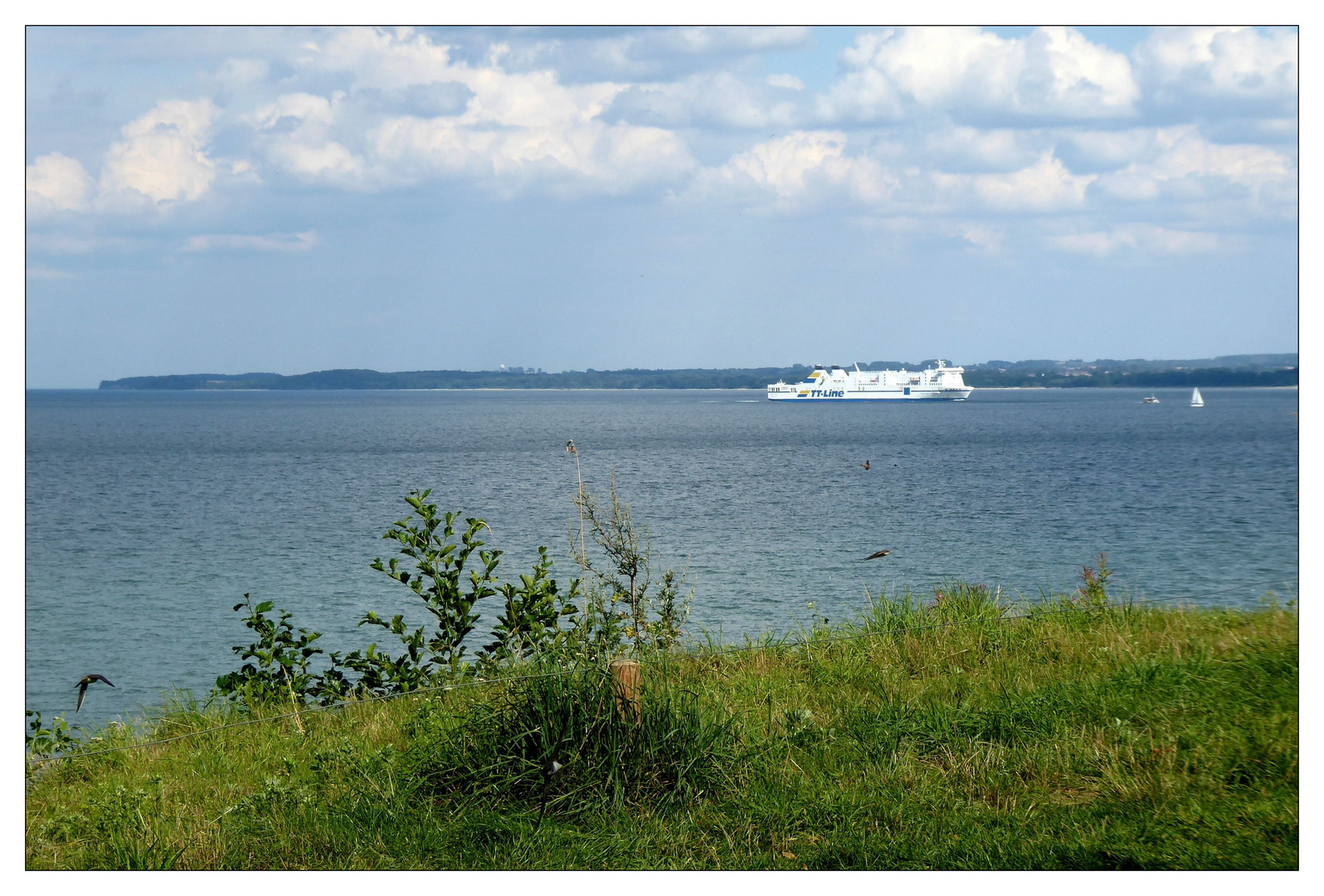 Die TT-Line nach Travemünde