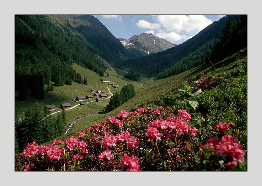 Die Tuchmoaralm - ein Kleinod an steirischer Idylle