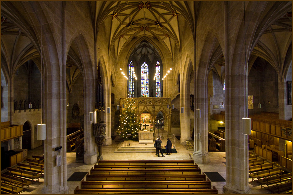 Die Tübinger Stiftskirche