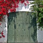 Die Tür im Tor