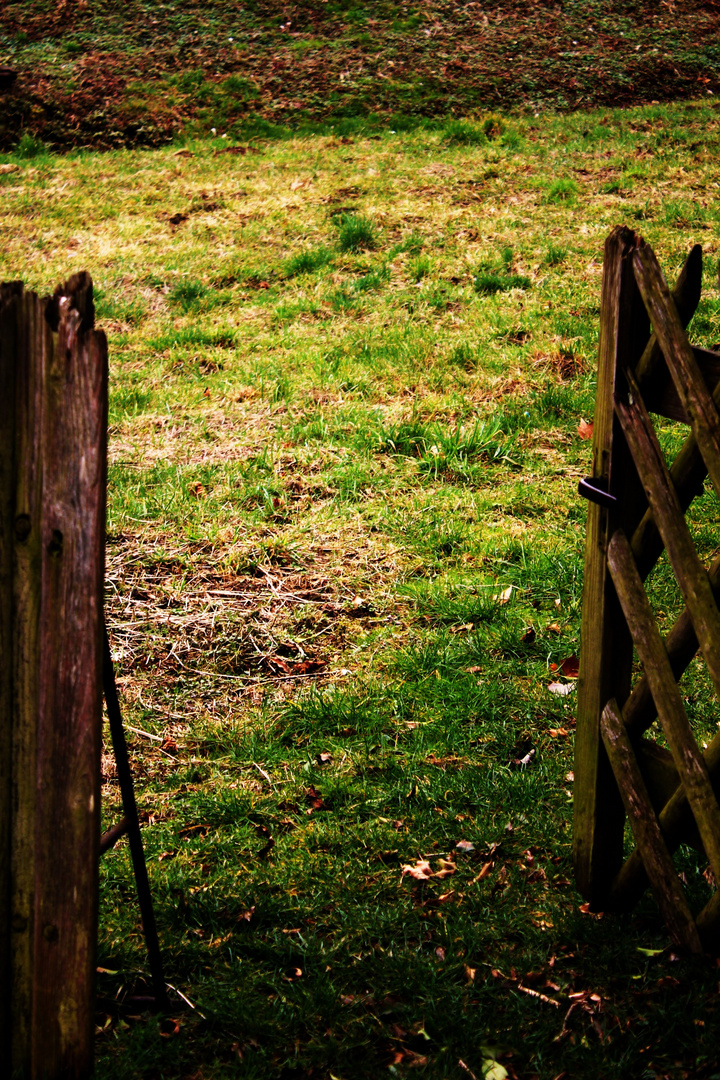 die Tür zum Garten ist geöffnet