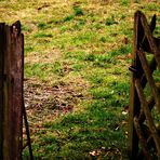 die Tür zum Garten ist geöffnet