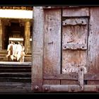 Die Tür zum Tempel
