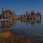 die "tuffas" im mono lake