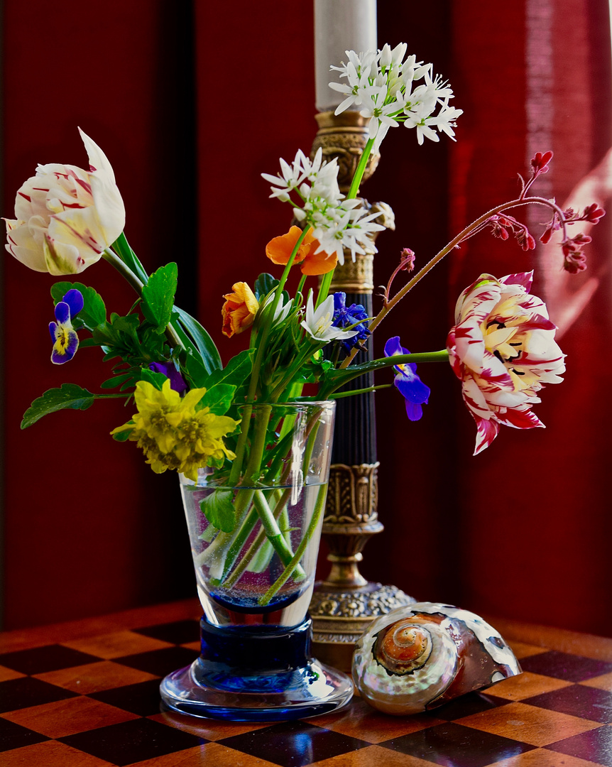 Die Tulpe, die Blume des Barock