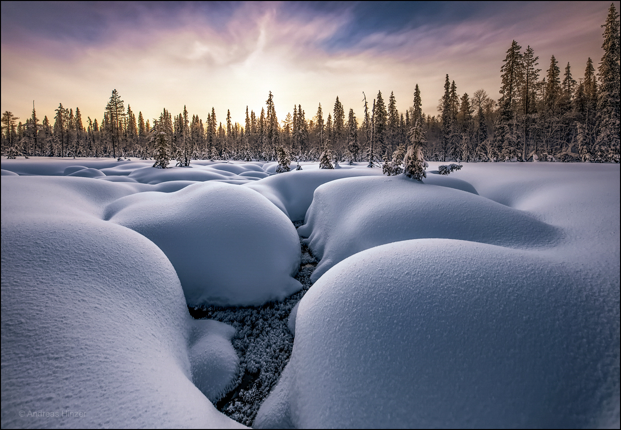 Die Tundra trifft die Taiga ...