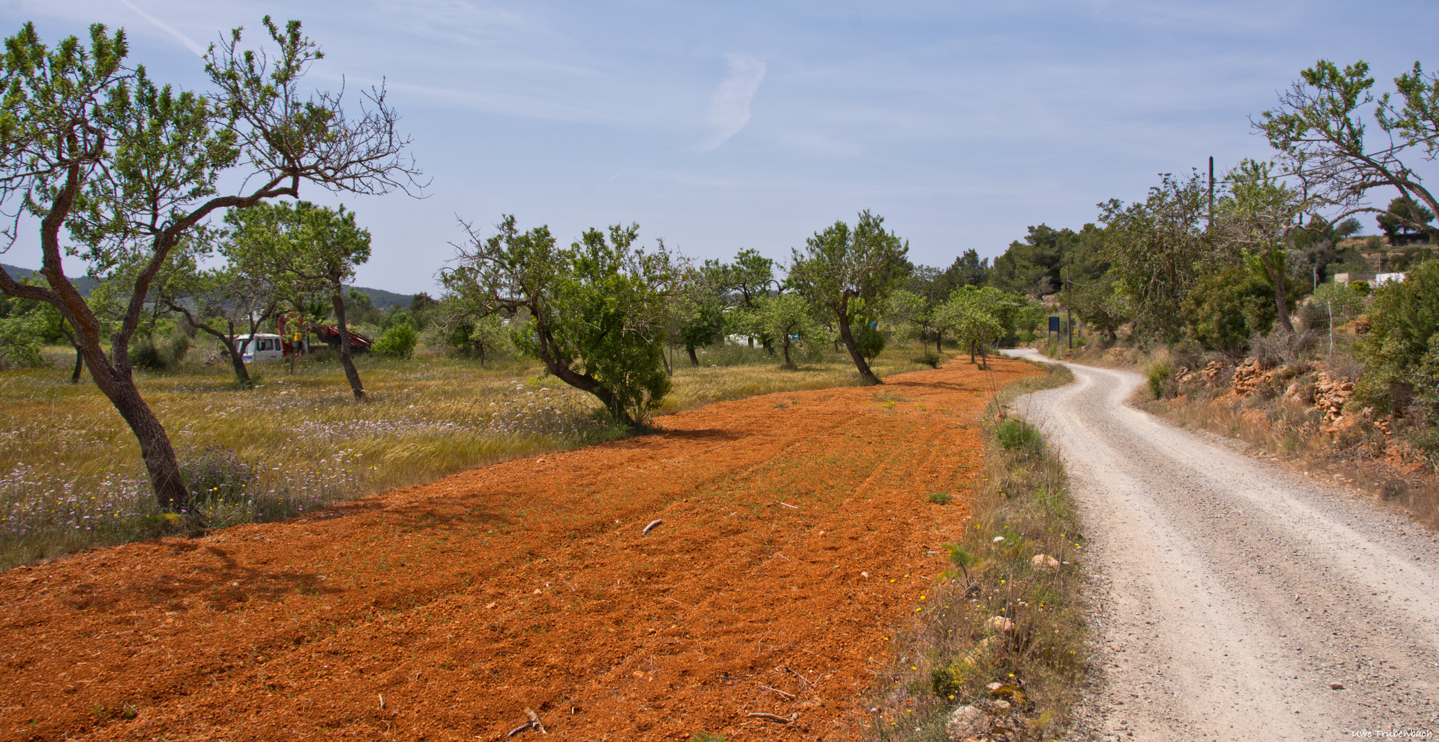 Die typische rote Erde von Ibiza