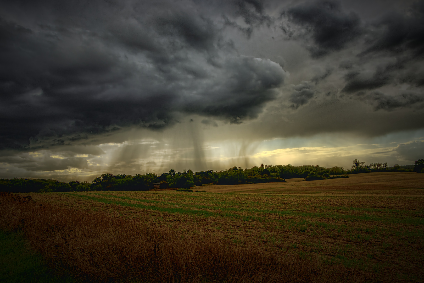 Die Uckermark braucht den Regen ..