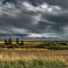 Die Uckermark braucht dringend Regen !