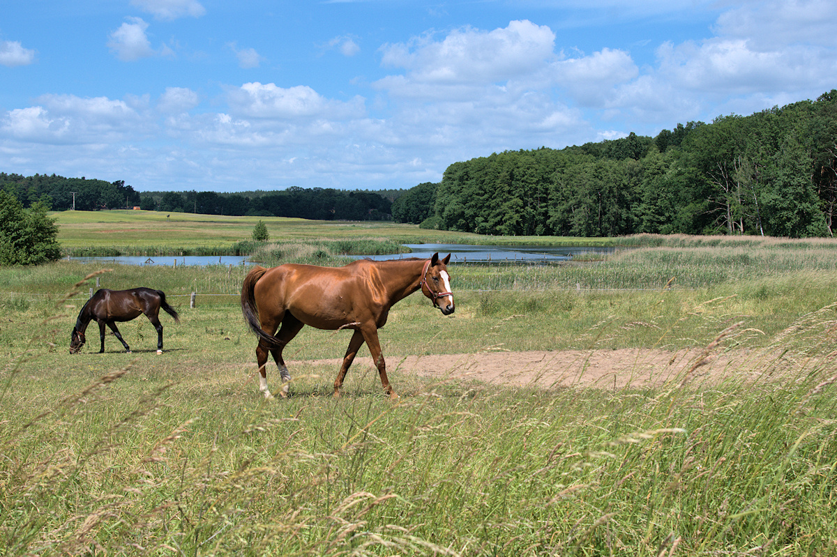 Die Uckermark