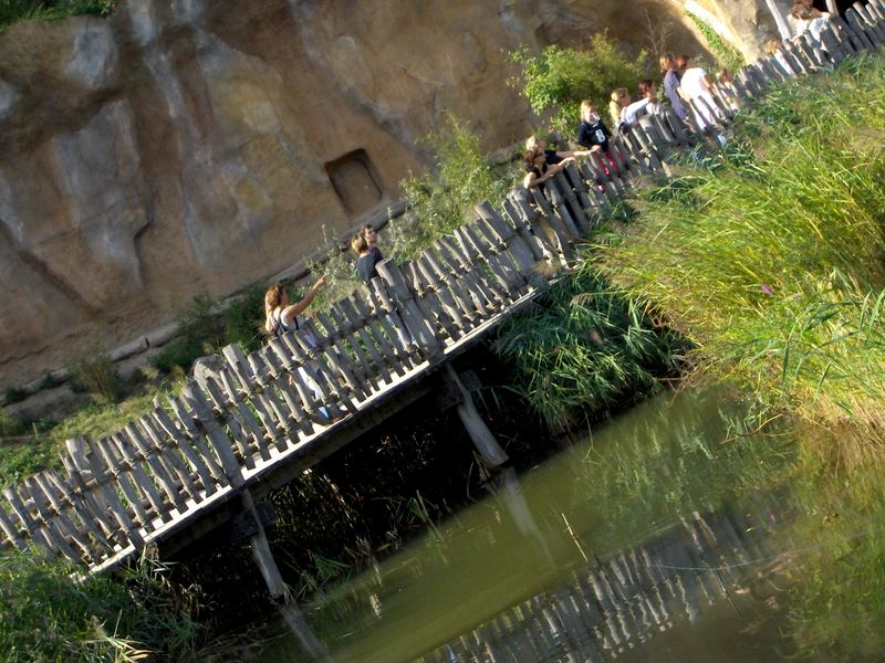 Die über dem Wasser wandeln