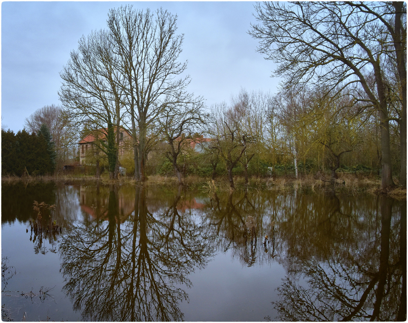 die überflutete Wiese