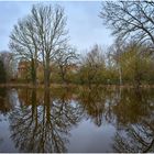 die überflutete Wiese