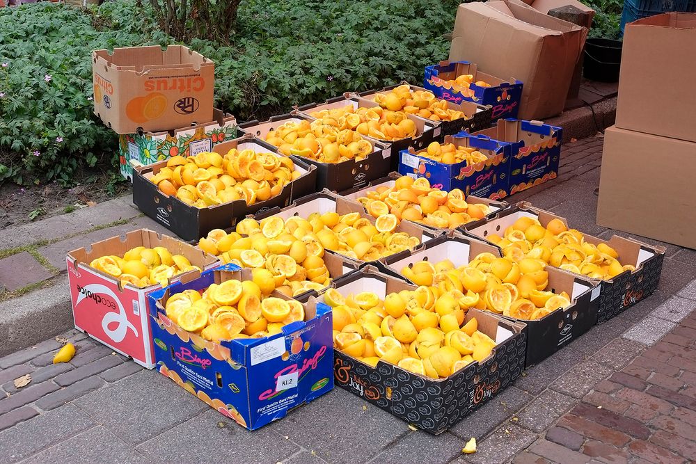 Die Überlebenden der maschinellen Saftpressorgie auf dem Wochenmarkt in Domburg (Zeeland, NL)