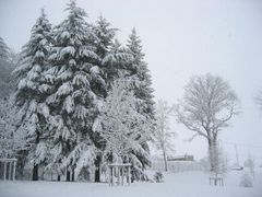 Die Überraschungen der Natur..... Frühlingsanfang 2007