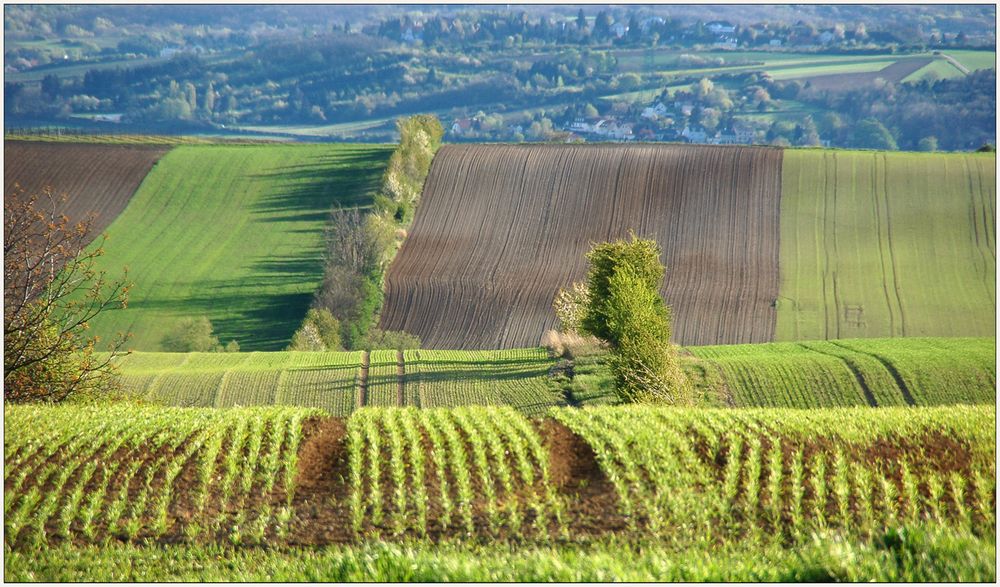 "Die üblichen Wellen"