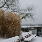 die Uferpromenade