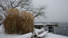 die Uferpromenade