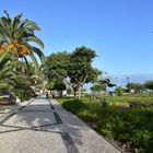 Die Uferpromenade von Funchal auf Madeira