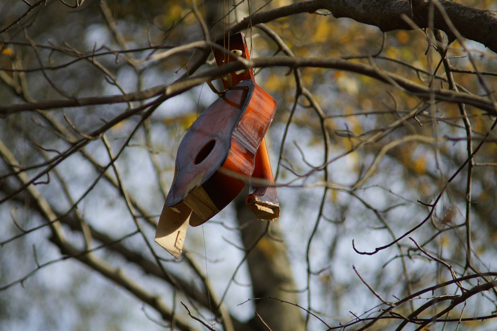 Die ukulele im wald